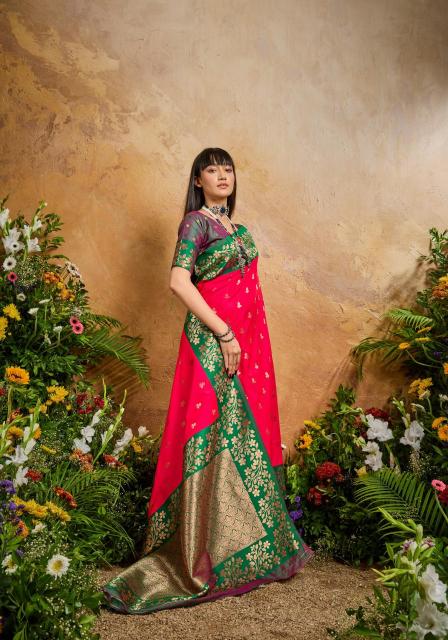 Rajtex Karnation catalog purchase sarees from surat