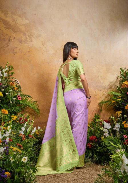 Rajtex Karnation catalog purchase sarees from surat