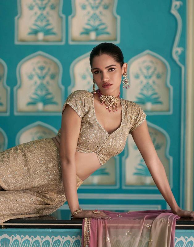 Sayuri Laskara catalog Georgette Embroidered indowestern