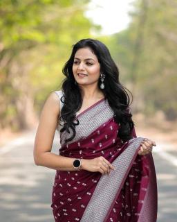 SF 753 0.1 saree e commerce product
