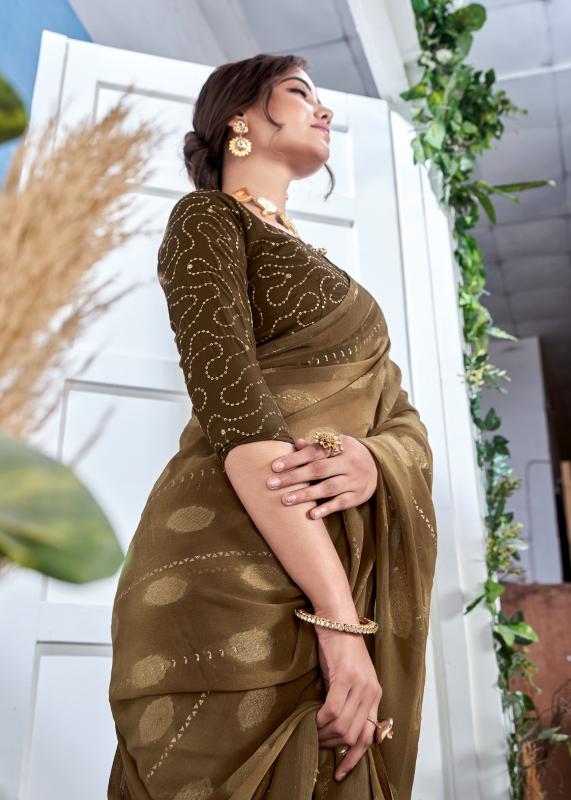 Stavan Jhanka catalog indiamart saree surat