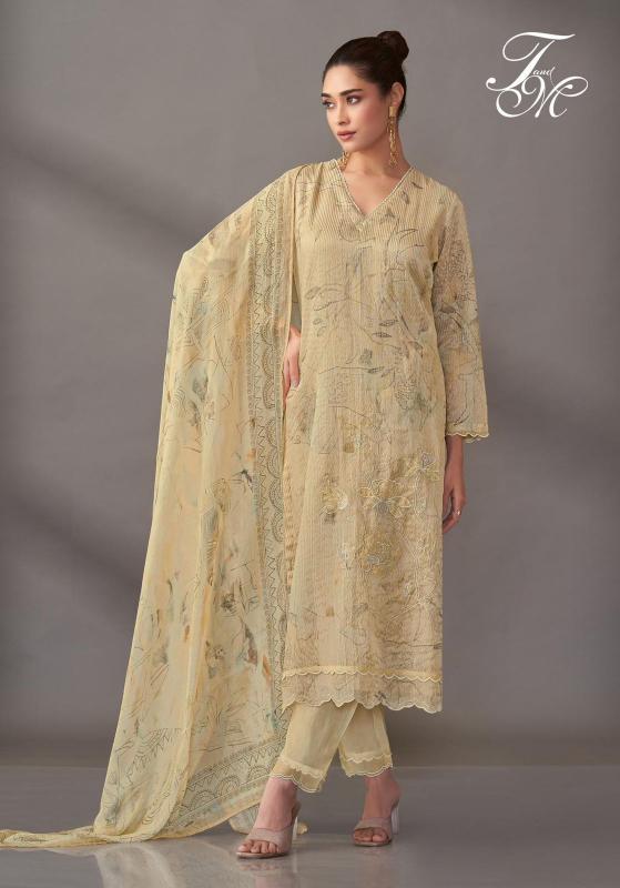 T&M Riva catalog designer salwar suit wholesale