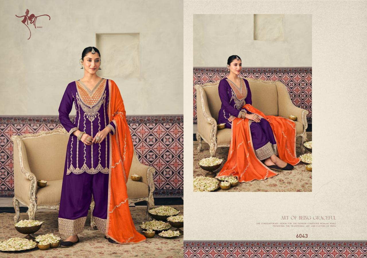 Radha Trendz Heer catalog Work Designer Salwar Kameez