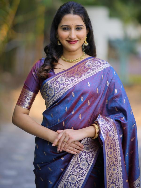 Dazira Aashvi vol 2 catalog wholesale sarees surat