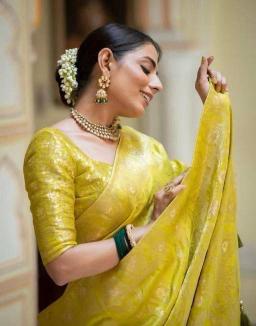 Dazira Lichi Silk vol 2 catalog wholesale saree manufacturers in india