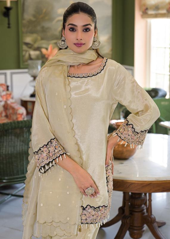 Afsana Noor catalog pakistani kurtis wholesale in surat