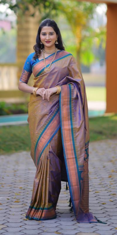 Dazira Aashvi vol 1 catalog silk saree wholesale in bangalore