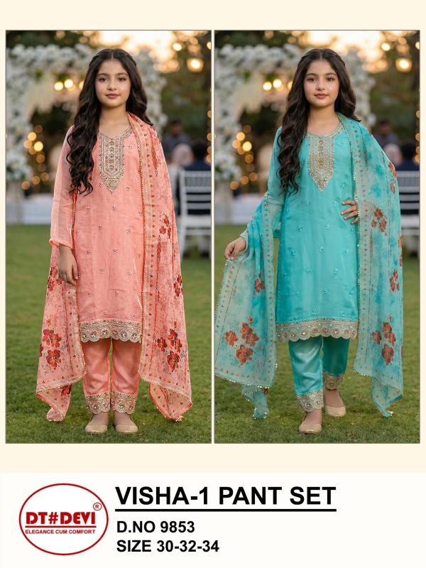 Dt Devi Visha vol 1 9853 catalog kids wear wholesale salem