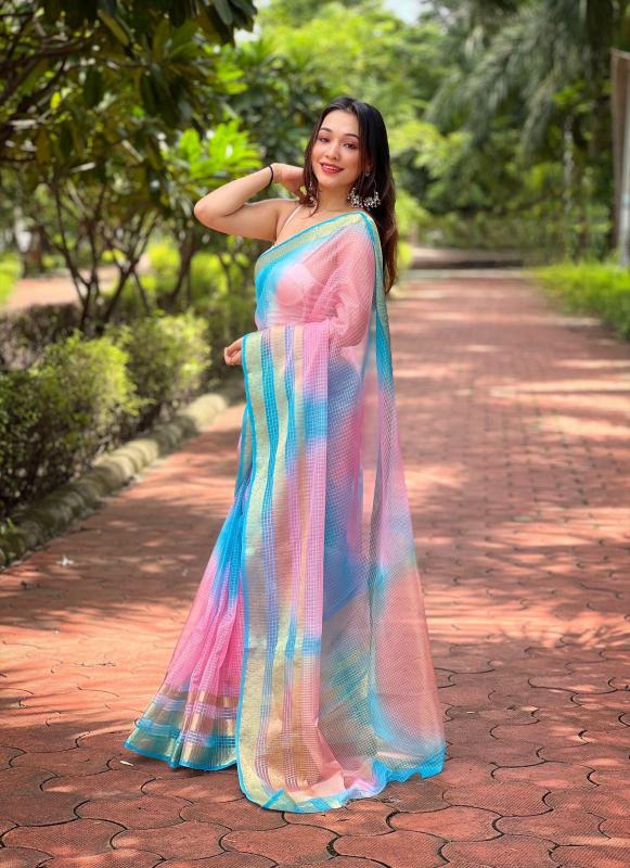 Dazira organza Saree wholesale market in Delhi