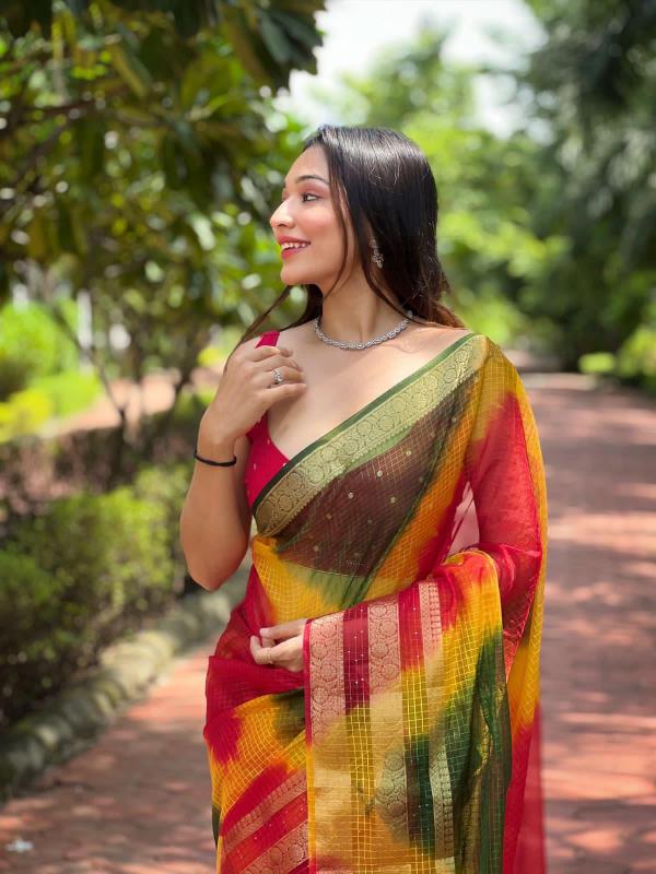 Dazira organza Saree wholesale market in Delhi