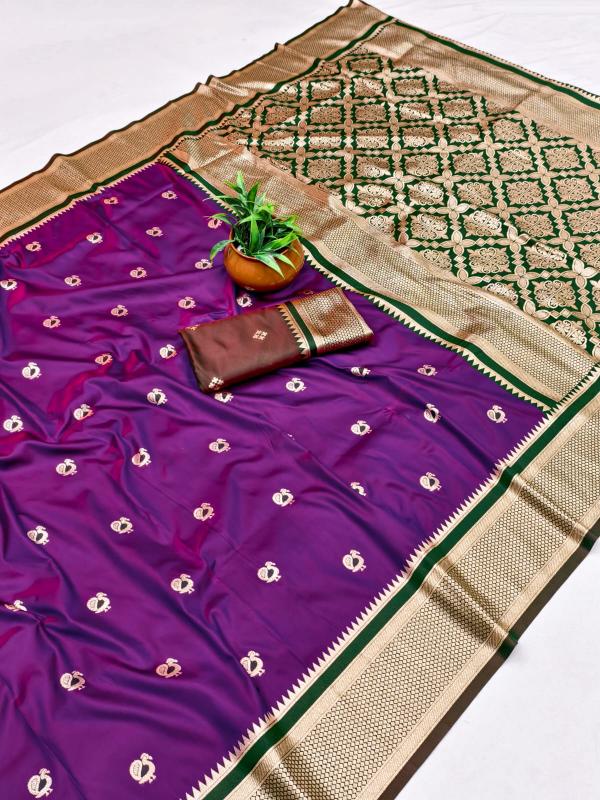 Dazira Paithani Surat wholesale saree dealers