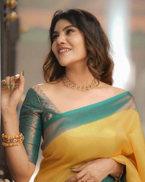 Dazira SF 646 Mumbai saree wholesale price