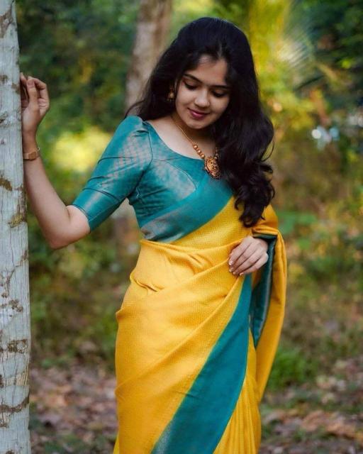 Dazira SF 646 Mumbai saree wholesale price