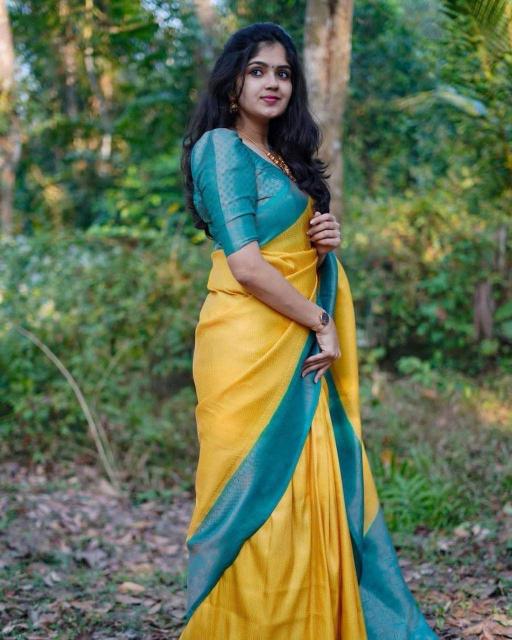 Dazira SF 646 Mumbai saree wholesale price