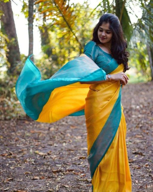 Dazira SF 646 Mumbai saree wholesale price