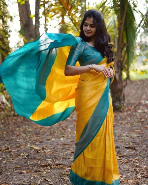 Dazira SF 646 Mumbai saree wholesale price
