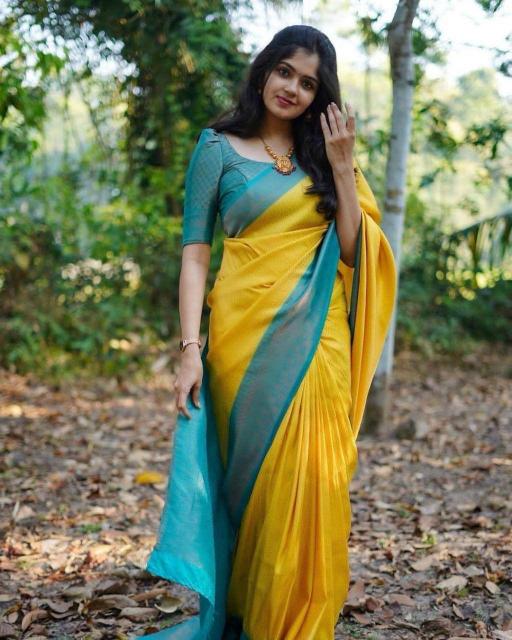 Dazira SF 646 Mumbai saree wholesale price