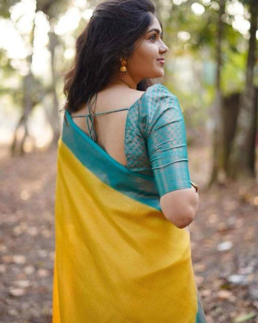 Dazira SF 646 Mumbai saree wholesale price