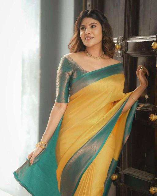 Dazira SF 646 Mumbai saree wholesale price