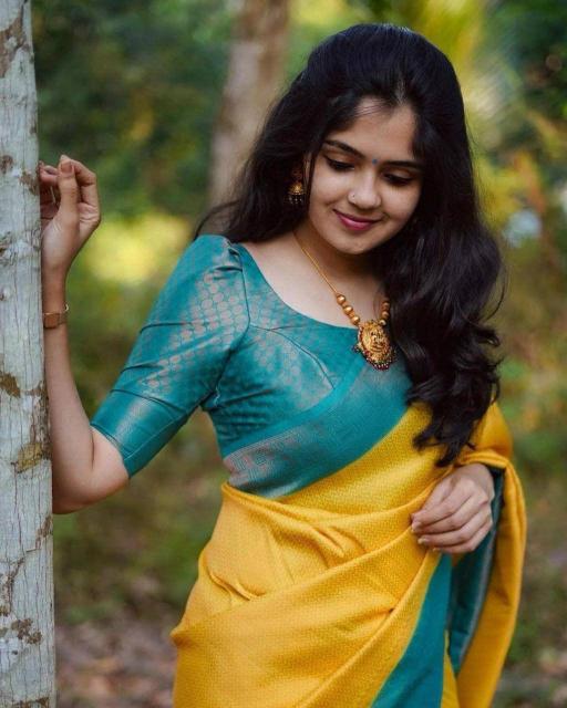 Dazira SF 646 Mumbai saree wholesale price