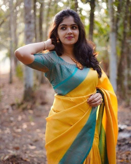 Dazira SF 646 Mumbai saree wholesale price