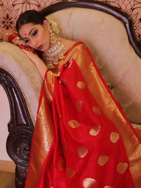Dazira SF 803 Kolkata wholesale saree suppliers