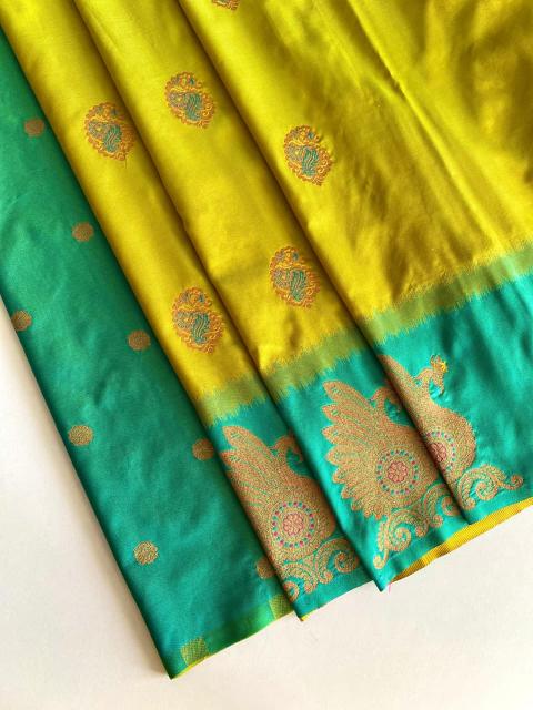 Morpankh Saree manufacturers in Surat