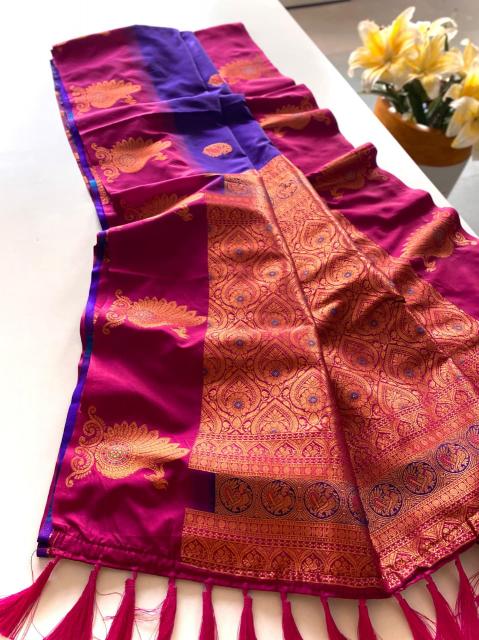 Morpankh Saree manufacturers in Surat