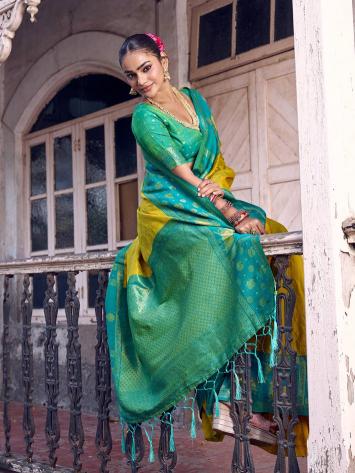 NANDITARANG SILK by SHREE SHYAM FASHION fancy designer Soft Silk saree