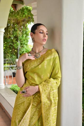 Dazira BANGLORI Saree wholesale market in Delhi