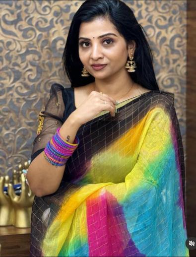 Dazira CHIFFON HAND SPRAY Wholesale saree suppliers in Pune