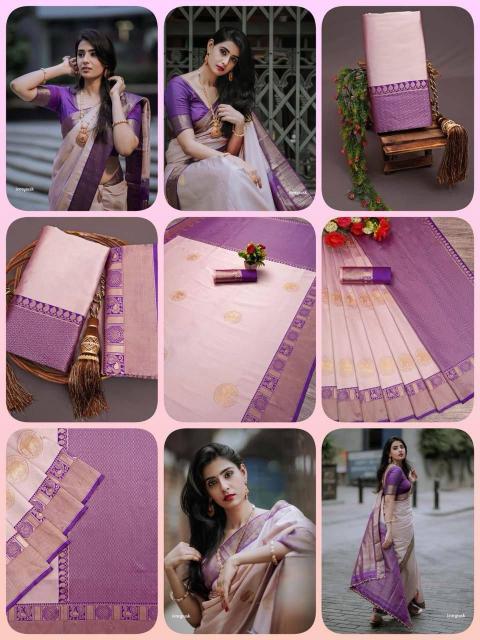 Dazira Organic Banarasi Saree supplier in Delhi