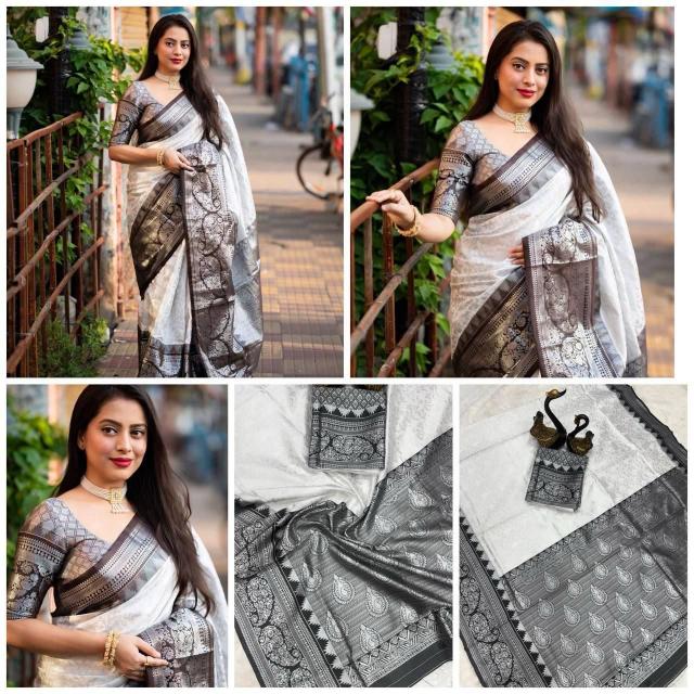 Dazira Organic Banarasi Saree supplier in Delhi