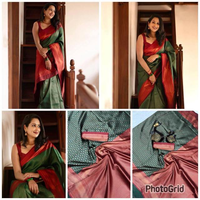 Dazira Organic Banarasi Saree supplier in Delhi