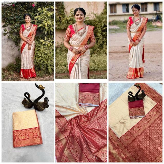 Dazira Organic Banarasi Saree supplier in Delhi