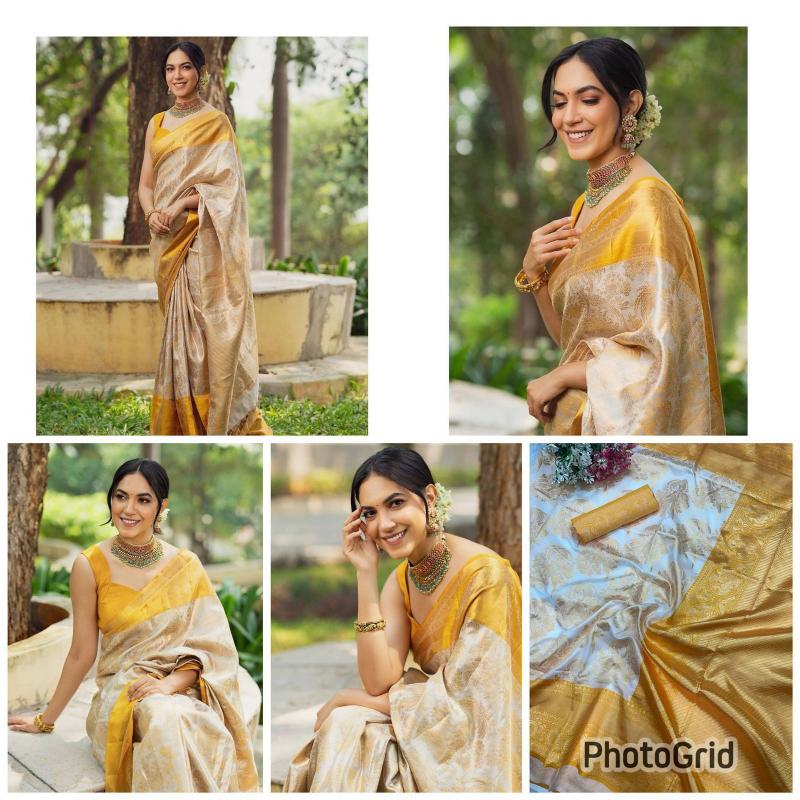 Dazira Organic Banarasi Saree supplier in Delhi