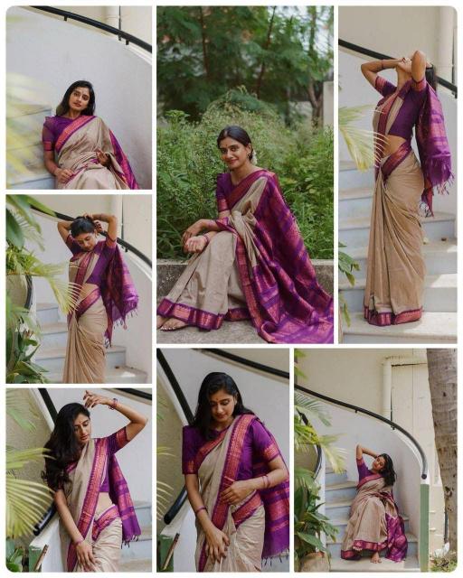 Dazira Organic Banarasi Saree supplier in Delhi