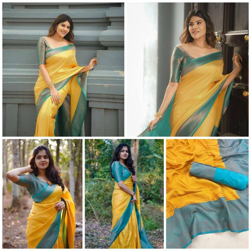 Dazira Organic Banarasi Saree supplier in Delhi