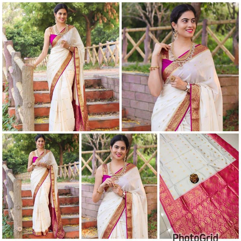 Dazira Organic Banarasi Saree supplier in Delhi