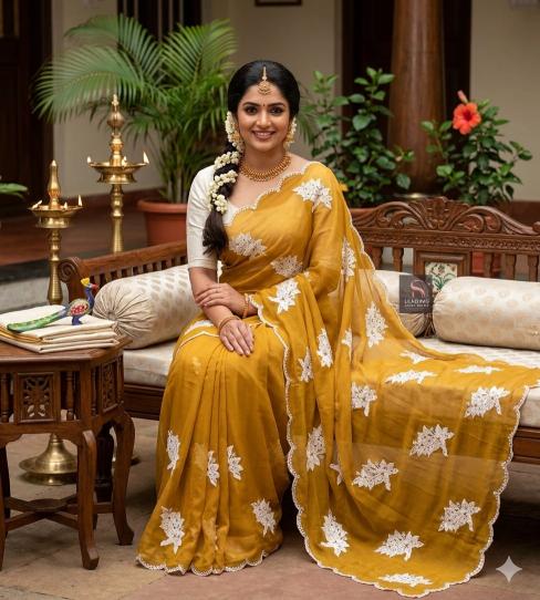 Dazira Rangoli silk Saree manufacturers in Mumbai