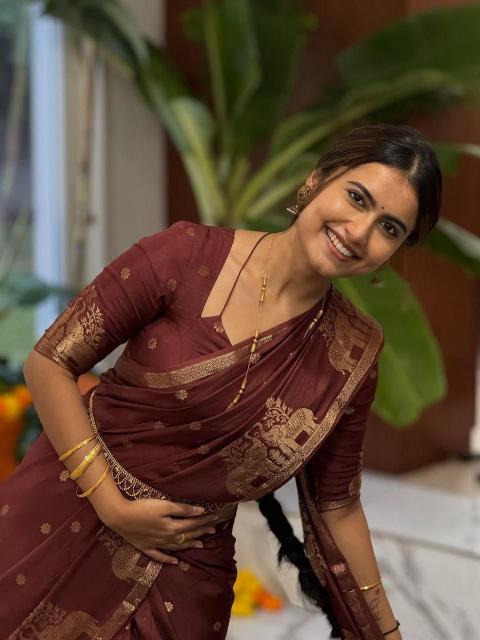 Dazira Russian Viscose Saree wholesalers in Gujarat