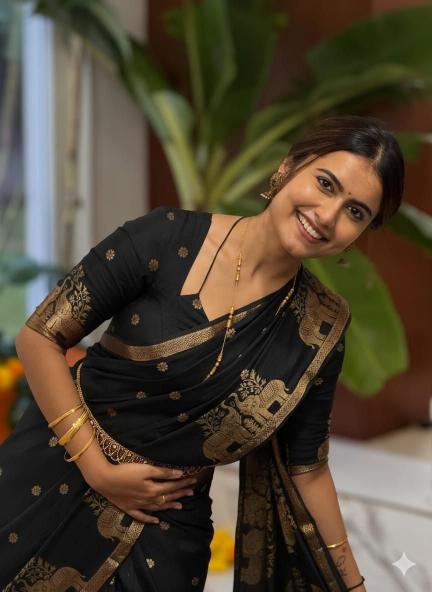 Dazira Russian Viscose Saree wholesalers in Gujarat