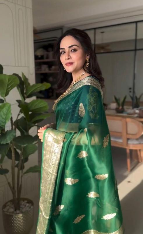 Dazira SF 1099 Best saree wholesalers in Mumbai