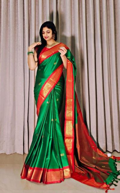 Rani-Vol-5 Surat saree wholesale market