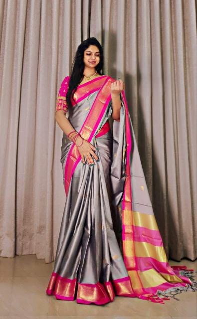 Rani-Vol-5 Surat saree wholesale market