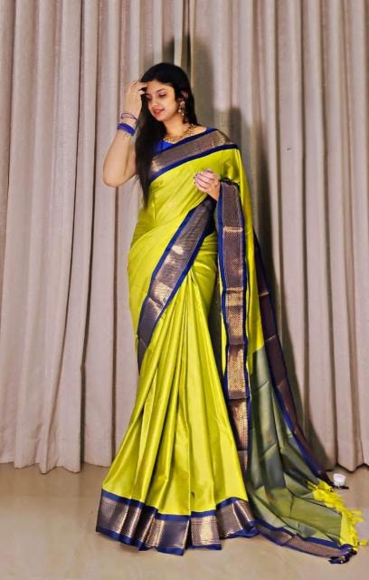 Rani-Vol-5 Surat saree wholesale market