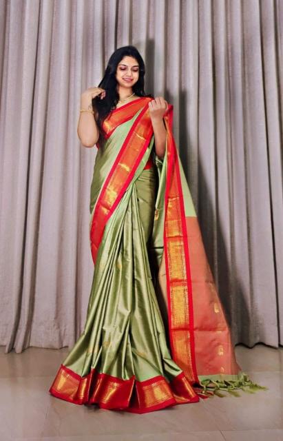 Rani-Vol-5 Surat saree wholesale market