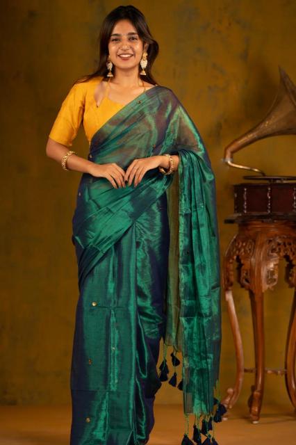 Blousewala  Raga Tissue Kolkata saree wholesale distributors