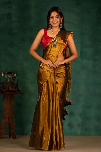 Blousewala  Raga Tissue Kolkata saree wholesale distributors