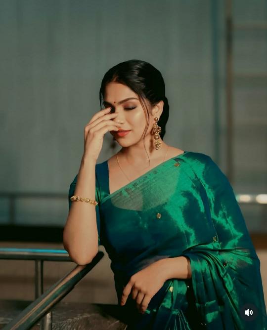 Blousewala  Raga Tissue Kolkata saree wholesale distributors
